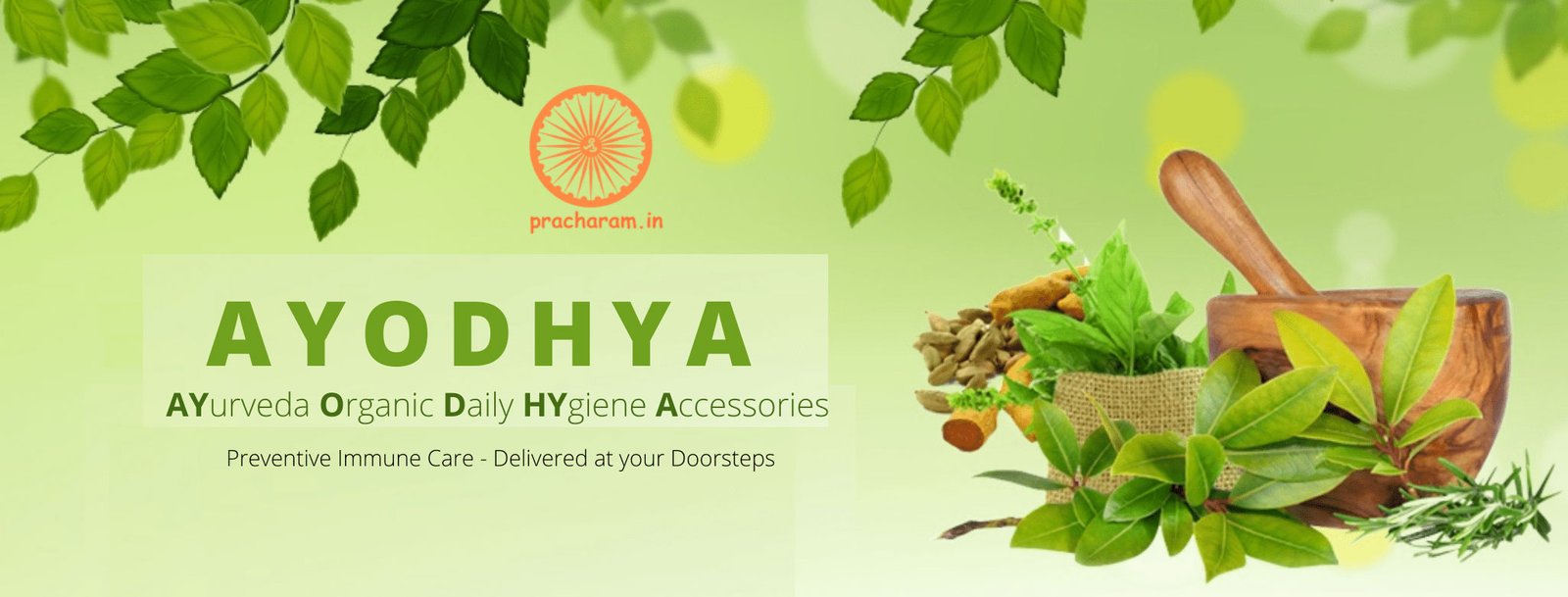 Ayodhya-1-v1